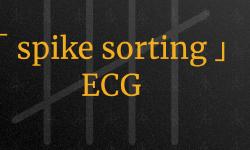 Featured image of post project ｢ Spike Sorting ｣ Adaptation for ECG